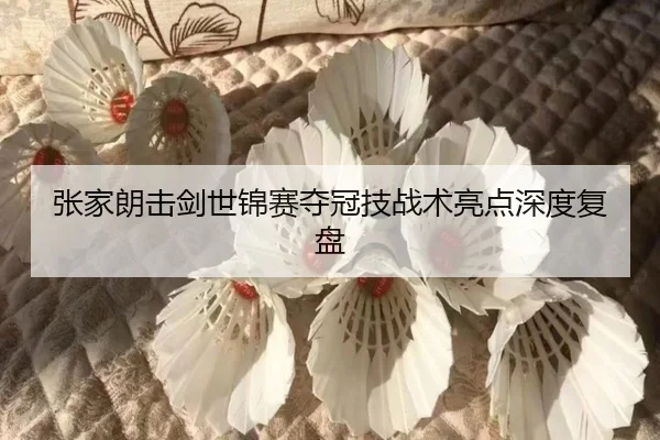 张家朗击剑世锦赛夺冠技战术亮点深度复盘